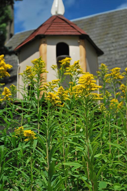Camping Les Tournesols Sille-le-Guillaume Luaran gambar